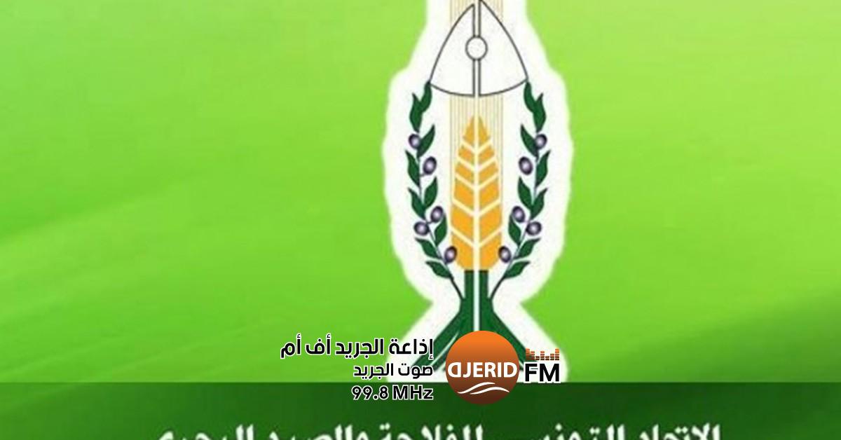 اتحاد الفلاحة: دعم كامل لمسار البناء والتشييد بلا حدود اتحاد الفلاحة يؤكد 'انخراطه التام في مسار البناء والتشييد دون قيد أو شرط'