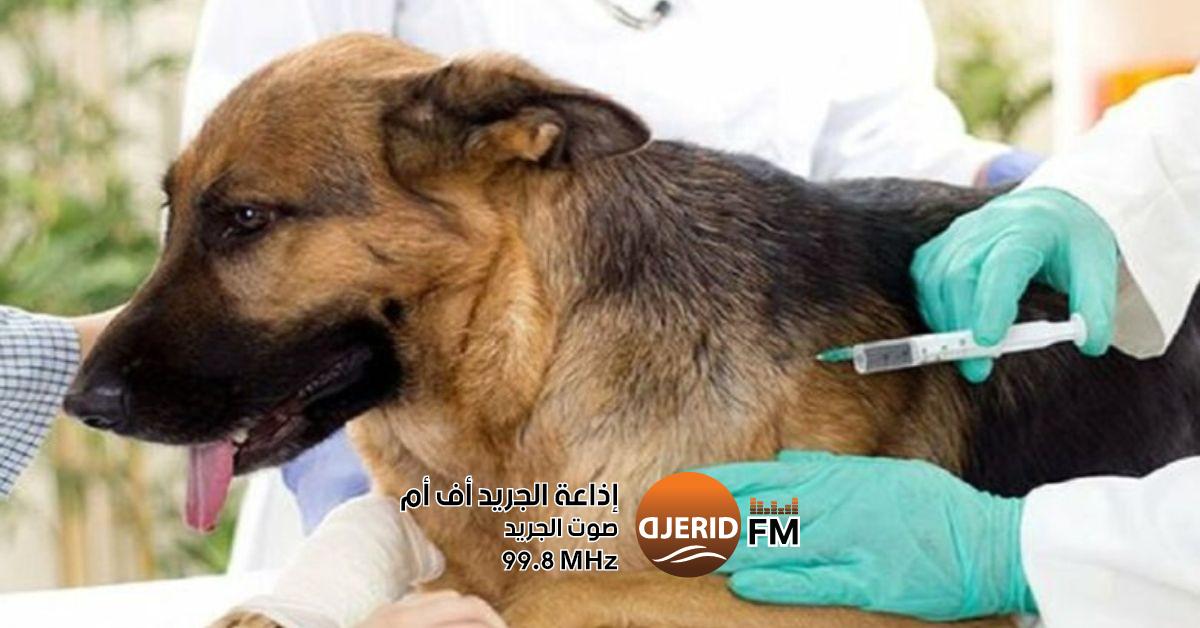 وزارة الصحة: ادراج التلقيح ضد داء الكلب ضمن منصة ايفاكس