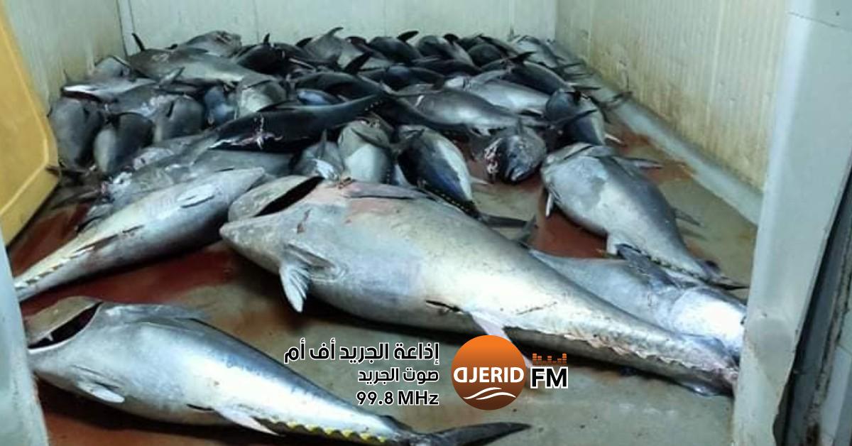 لجنة الفلاحة تسعى لزيادة حصة تونس من التن الأحمر عبر مفاوضات جديدة أعضاء لجنة الفلاحة يدعون إلى التفاوض لرفع حصة تونس من التن الأحمر