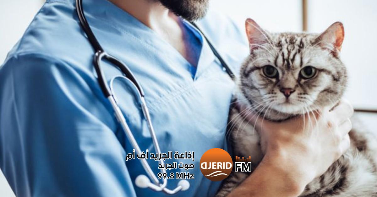 منتدى طب بيطري عالمي في تونس ينظمه اتحاد الأطباء البيطريين اتحاد الأطباء البيطريين التونسيين ينظم المنتدى الدولي للطب البيطري
