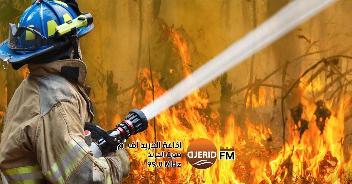 تنبيه عاجل: ممارسات تُشعل حرائق الصيف – لا تتجاهل تحذيرات الحماية المدنية! الحماية المدنية تنبه من ممارسات تساهم في اندلاع الحرائق مع اقتراب فصل الصيف