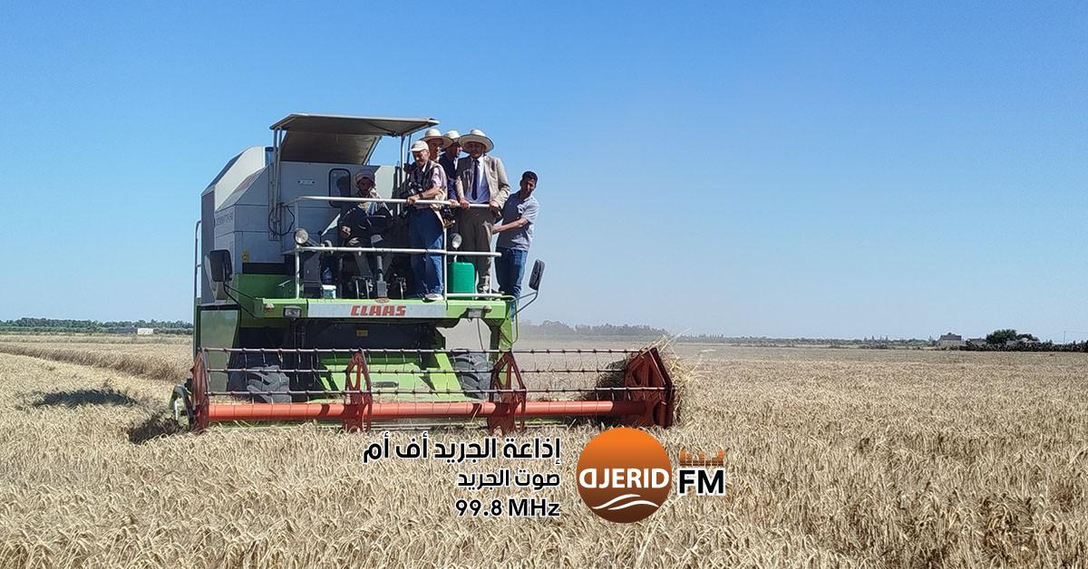 وزير الفلاحة: توقعات بتحقيق رقم قياسي بإنتاج 18 مليون قنطار حبوب وزير الفلاحة: توقعات بإنتاج أكثر من 18 مليون قنطار من الحبوب