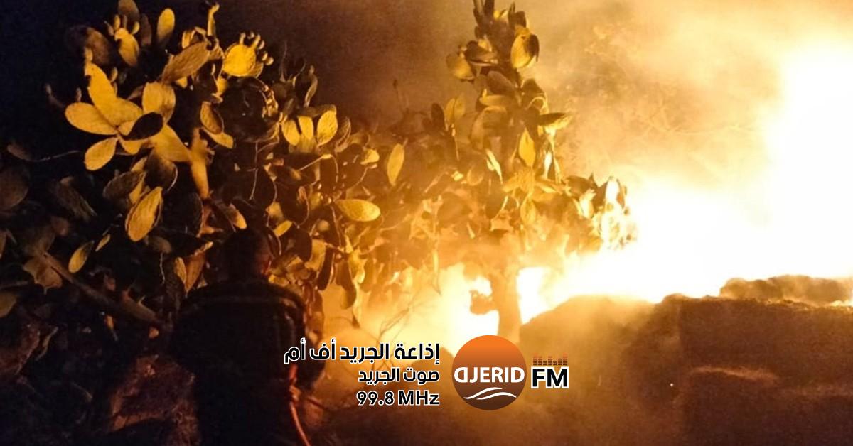 وزير الفلاحة: إحداث مراكز موسمية متقدمة في أكثر المناطق عرضة للحرائق