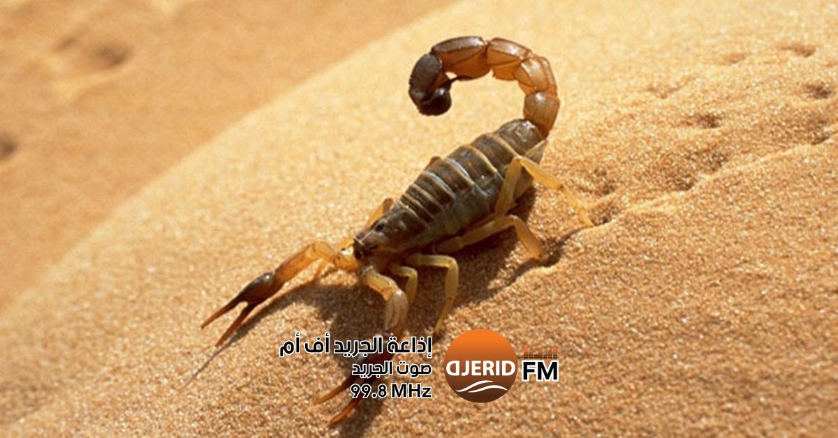 احمِ نفسك من لدغات العقارب والثعابين: نصائح ذهبية من وزارة الصحة للتوقي من لدغات العقارب والثعابين..وزارة الصحة تقدم جملة من التوصيات