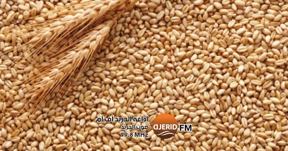 وزارة الفلاحة تعلن تسعير جديد للبذور الممتازة والعادية للحبوب وزارة الفلاحة تضبط أسعار البذور الممتازة و العاديّة للحبوب