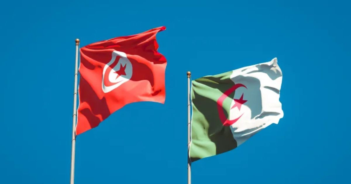 رئيس أركان الجيش التونسي يزور الجزائر لتعزيز التعاون العسكري رئيس أركان جيش البر التونسي في زيارة إلى الجزائر