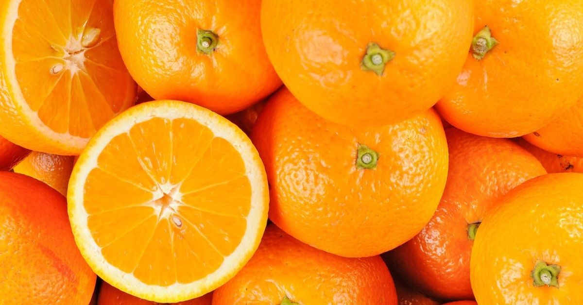 تونس تطلق موسم تصدير البرتقال المالطي إلى فرنسا وتستهدف كميات أكبر تونس تطلق موسم تصدير البرتقال المالطي إلى فرنسا وتستهدف رفع الكميات المصدّرة