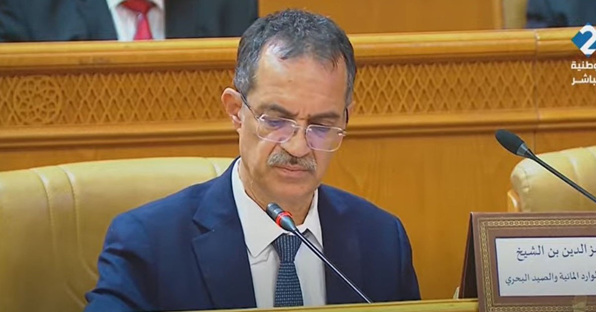 وزير الفلاحة: استهلاك التونسي من زيت الزيتون يرتفع إلى 3 لتر سنوياً وزير الفلاحة : استهلاك التونسي من زيت الزيتون يعادل 3 لتر في السنة