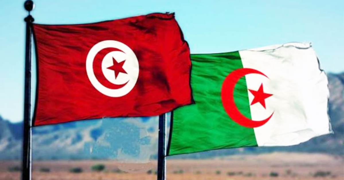 فريق بحثي تونسي جزائري يكشف معطيات جديدة حول التاريخ الجيولوجي لمنطقة سوق أهراس شرقي الجزائر