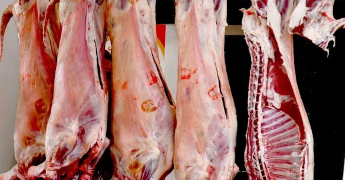 المعهد العربي لرؤساء المؤسسات يقترح خارطة طريق لإنقاذ قطاع اللحوم الحمراء واستعادة السيادة الغذائية