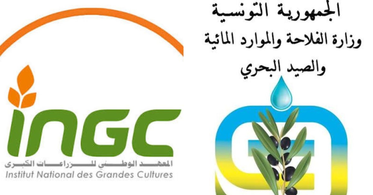 وزارة الفلاحة: بصدد استكمال المسار القانوني لإحداث محطة تجارب لمعهد الزراعات الكبرى بأريانة
