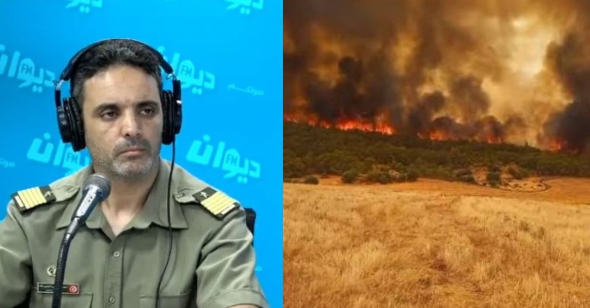 مدير المحافظة على الغابات: حريق الكاف من أهمّ وأخطر الحرائق هذا العام