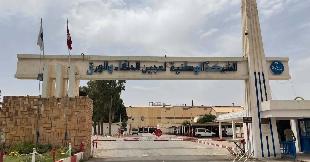 شركة عجين الورق: النجاح في استكمال إنتاج كامل كميات ورق الكتاب المدرسي