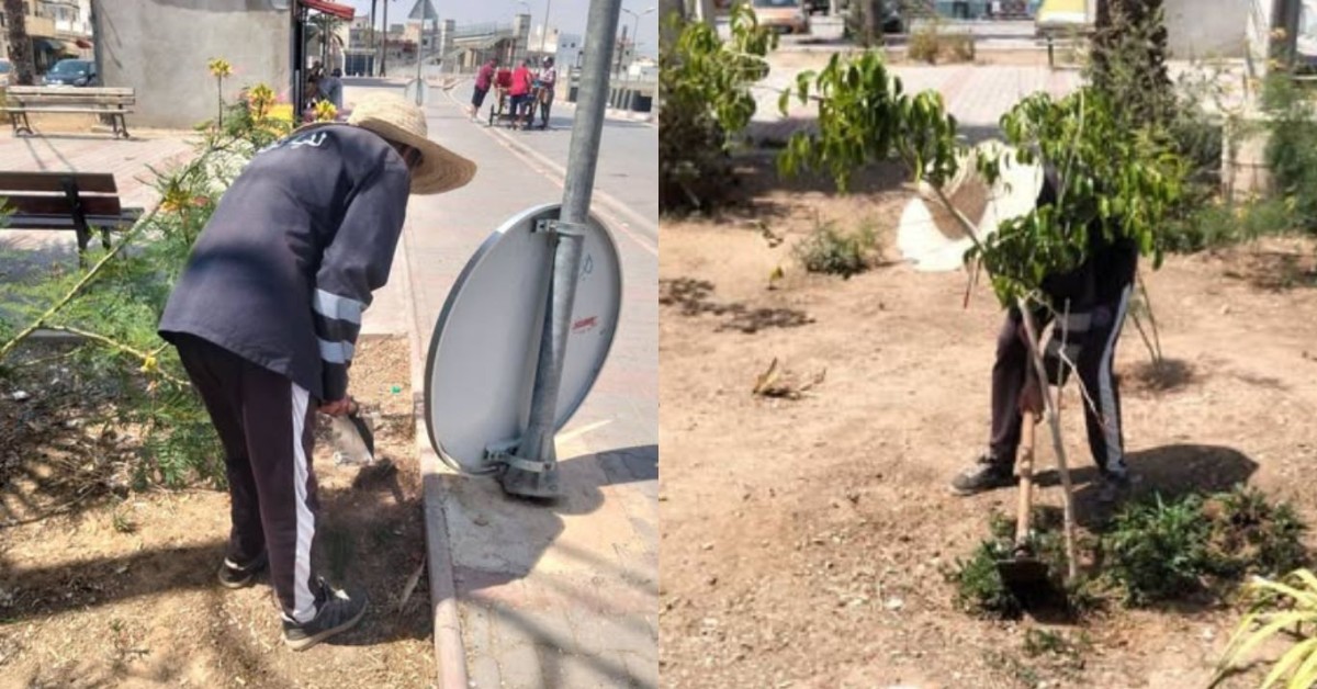 بلدية تونس تواصل حملاتها الدورية لتأهيل وتجميل المساحات الخضراء بعدد من الدوائر