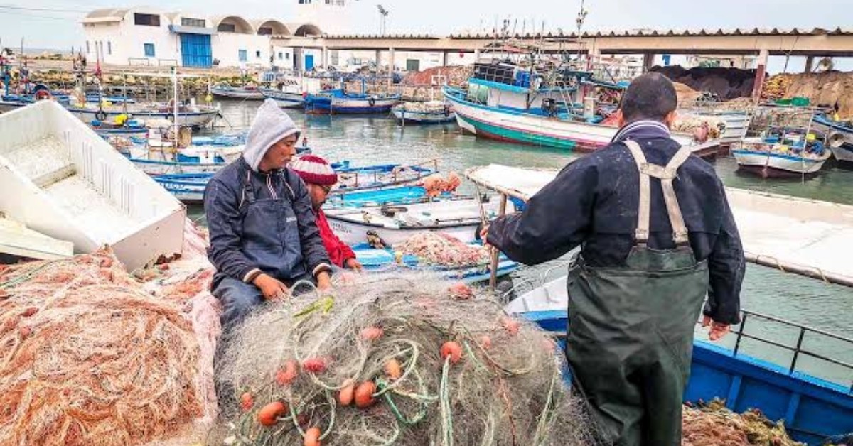 وزارة الفلاحة توضح شروط إسناد تراخيص صنع وتوريد مراكب الصيد البحري