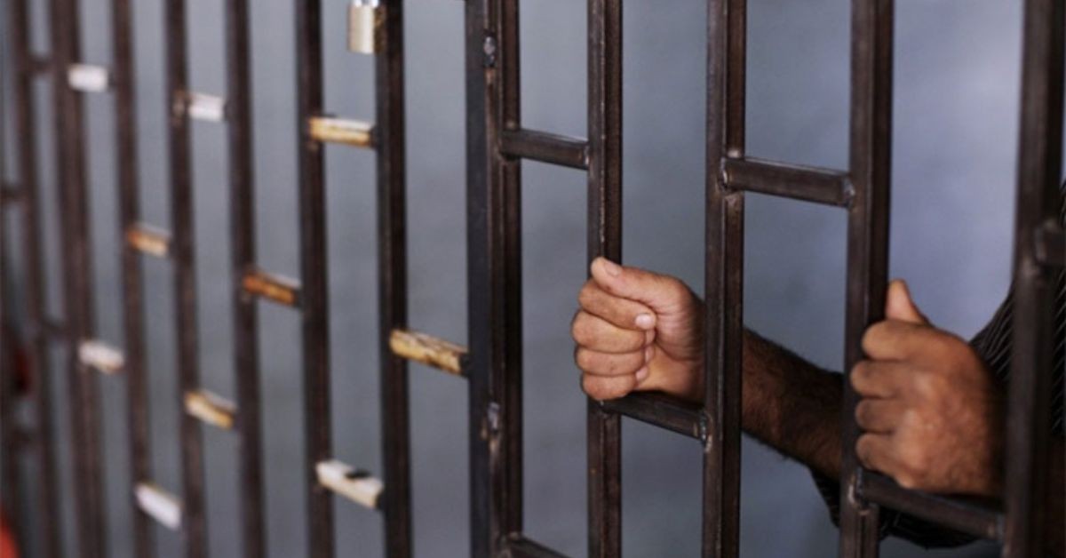 محامية: عقوبة بيع تذاكر المهرجانات في السوق السوداء قد تصل الى 3 أشهر سجنا