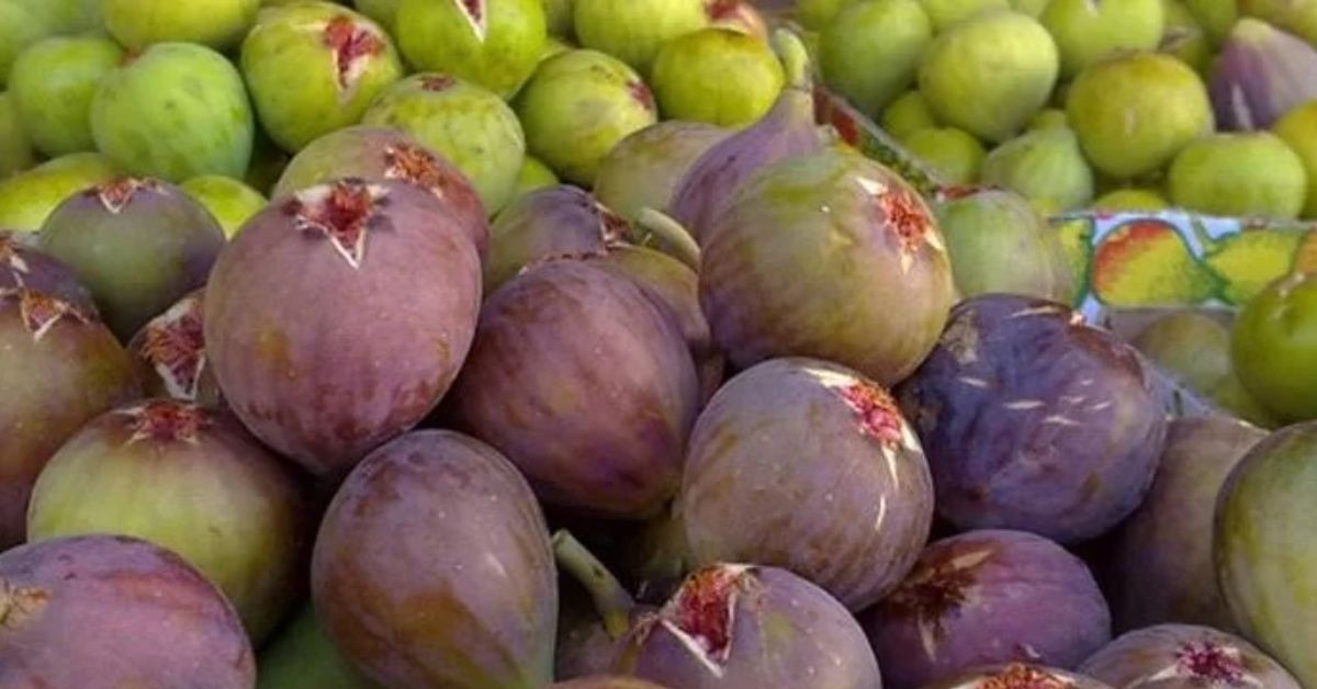 عضو باتحاد الفلاحة: الوسطاء أمام ارتفاع أسعار الغلال على مستوى التفصيل