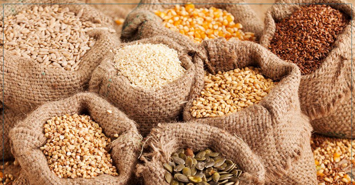 وزارة الفلاحة تحدّد أسعار البذور الممتازة والعادية