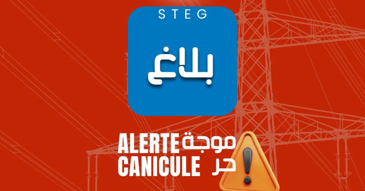 تزامنًا مع موجة الحر المرتقبة الأربعاء.. «الستاغ» تحذّر من اضطرابات وانقطاعات في توزيع الكهرباء