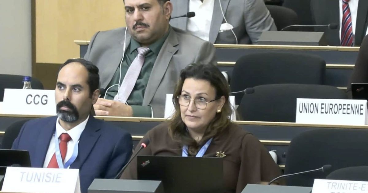 البعثة التونسية بجنيف تدعو لمساءلة مرتكبي الانتهاكات ضد النساء والأطفال في مناطق النزاع
