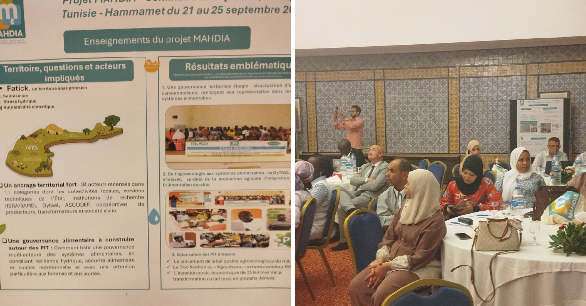 الحمامات: اختتام أشغال مشروع «MAHDIA» لدعم الفلاحة الإيكولوجية والتكيف مع ندرة المياه