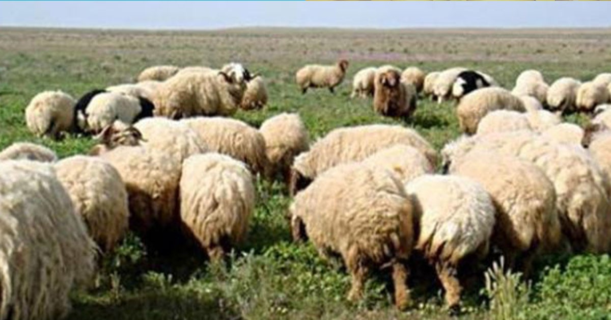 رئيس اتحاد الفلاحة: التكوين الفلاحي رافعة لتحسين المردودية ودعم الأمن الغذائي