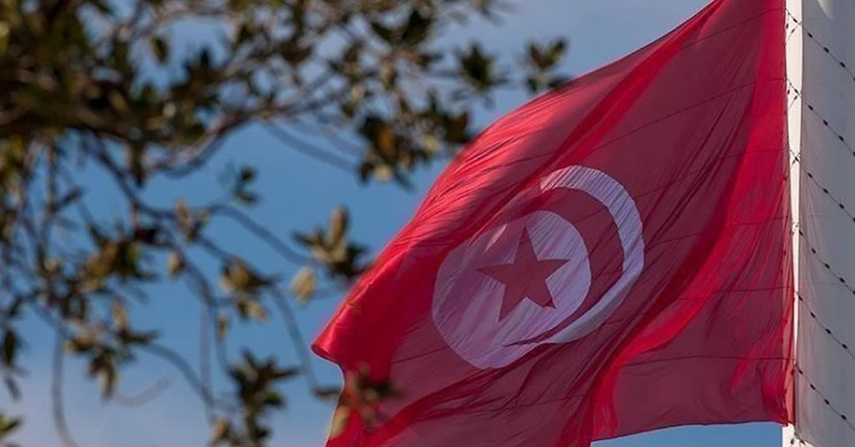 ثلاثة باحثين تونسيين ضمن الأربعين الأوائل عالميا في الدراسات الجيولوجية والجيوفيزيائية