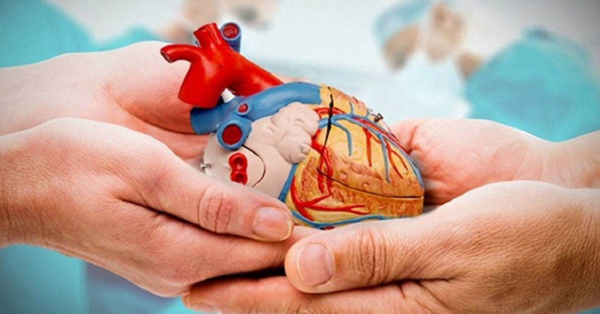 التبرع بالأعضاء في تونس: ارتفاع معدلات زرع القلب من حالة سنويا إلى 6 حالات