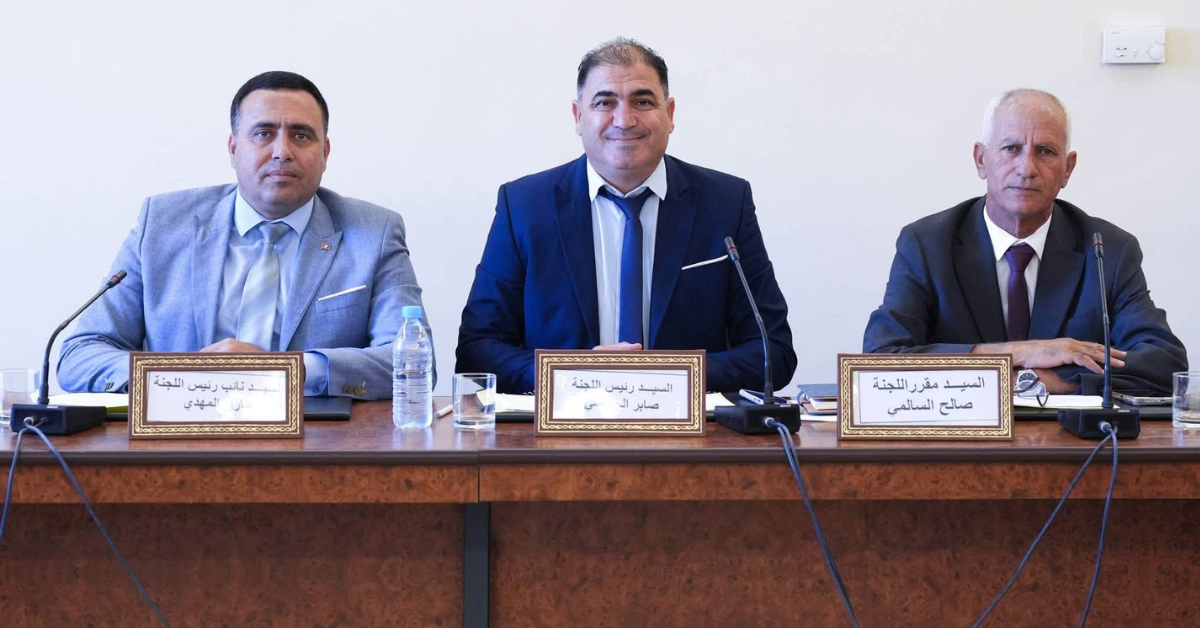 لجنة التخطيط الاستراتيجي تصادق على مشروعي قانونين يتعلقان بالخدمات الجوية