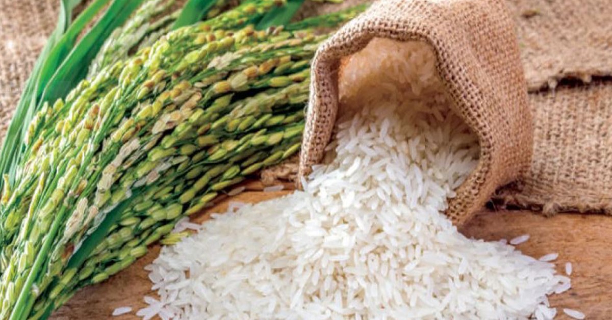 تحديد أسعار بيع الأرز المورّد