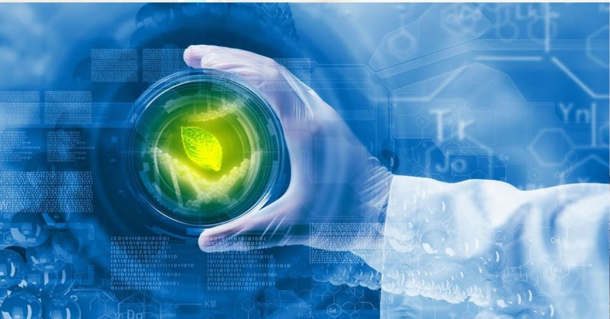 انجاز أول نموذج ذكاء اصطناعي في تونس لتثمين زيت الزيتون