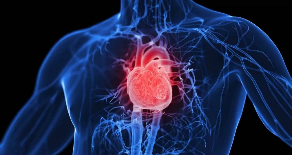 5 علامات تحذيرية تشير إلى مشاكل صحية في القلب 5 أعراض تدل على مشاكل في صحة القلب