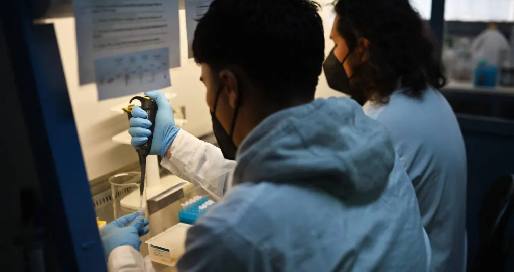تطوير أجسام مضادة واعدة جديدة للوقاية من فيروس إبستاين بار علماء يطورون أجساماً مضادة واعدة للوقاية من فيروس «إبستاين بار»