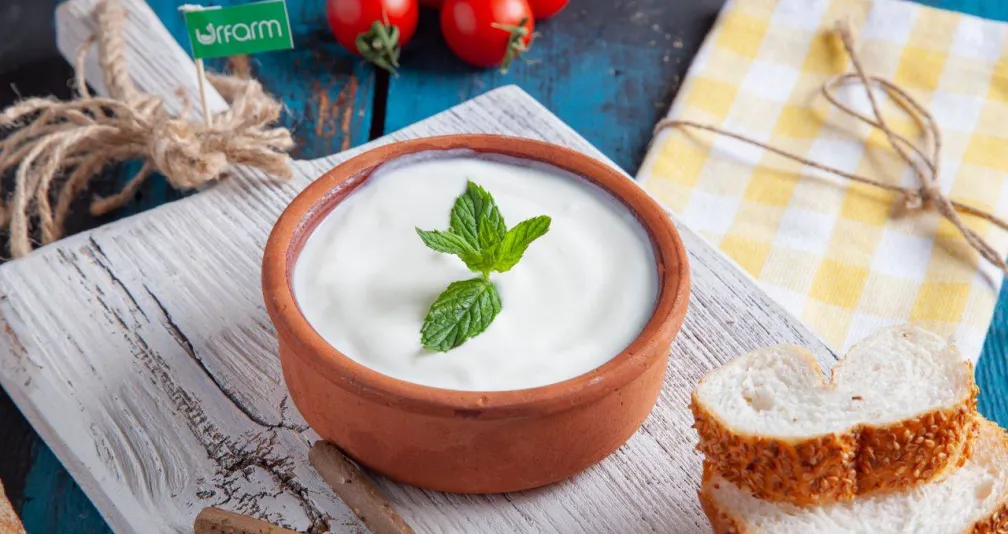 منها الزبادي... 9 أطعمة مخمّرة تدعم صحة الأمعاء