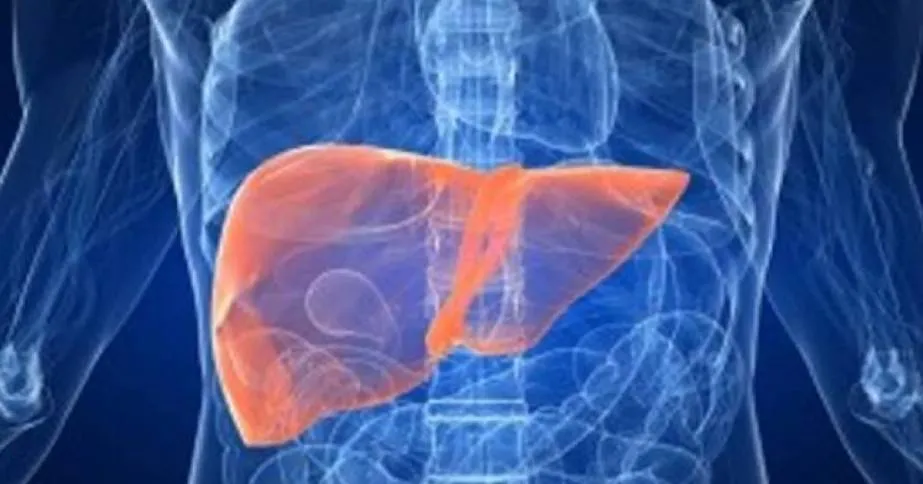 عادات صباحية تدعم صحة الكبد