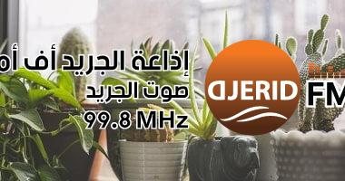 5 نباتات منزلية مذهلة لطرد الحشرات: اللافندر يهرب الذباب والنعناع كمبيد حشري طبيعي! 4 خطوات هتساعد فى الحفاظ على النباتات المنزلية