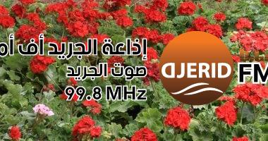 عيد الحب 2025: اكتشف تفسير حلم الورد ورموزه للحب والسعادة والبدايات الجديدة! عيد الحب 2025.. تفسير حلم الورد معناه حب وسعادة وبدايات جديدة