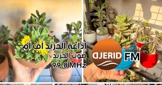 من دراسة التاريخ إلى عشق النباتات: إسراء تروي رحلة شغفها بالعناية والاهتمام بالنباتات رحلة إسراء من دراسة التاريخ لعشق النباتات: شبه الإنسان ومحتاجة رعاية وحب