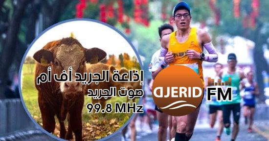 ماراثون فريد من نوعه في الصين: جوائز مدهشة تشمل بقرة ودجاج وسمك وأرز للفائزين! ماراثون صينى يقدم بقرة ودجاج وسمك وأرز جوائز للفائزين فى المنافسات