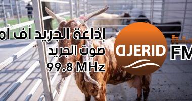 اكتشف أغرب سلالات الحيوانات والنباتات في مهرجان التميز الزراعي: سمكة بكافيار ثمين وزهور نادرة! سمكة أغلى كافيار وزهور نادرة.. اعرف أغرب السلالات بمهرجان التميز الزراعى