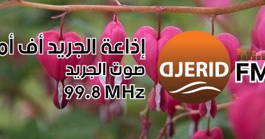 اكتشف أغرب 7 نباتات حول العالم: هل تعرف زهرة نزيف القلب الفريدة؟ أغرب 7 نباتات حول العالم زهرة نزيف القلب الأبرز.. سمعت عنها قبل كده؟