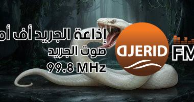 "تفسير حلم مطاردة الثعابين: مخاوف داخلية وفرص جديدة تنتظر"! تفسير حلم مطاردة الثعابين.. خوف ومشاعر مكبوتة أو فرصة جديدة