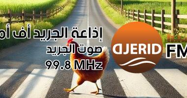 قانون منع الدجاج من عبور الطريق: أغرب القوانين حول العالم التي ستدهشك! هل سمعت عن قانون منع الدجاج من عبور الطريق؟ أغرب قوانين العالم