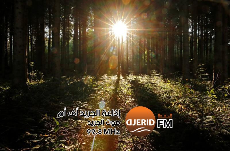 علماء: إدارة الغابات يمكن أن تؤثر على فوائدها الصحية - التنوع البيولوجي علماء: إدارة الغابات يمكن أن تؤثر على فوائدها الصحية - التنوع البيولوجي