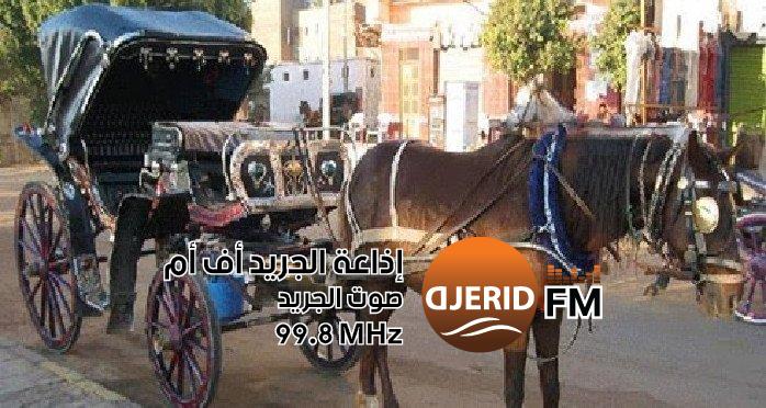 "شكوى التجار في ياسمين الحمامات: الروائح الكريهة تعكر صفو عربات الخيول السياحية!" ياسمين الحمامات: التجار يشتكون من الروائح الكريهة لعربات الخيول السياحية