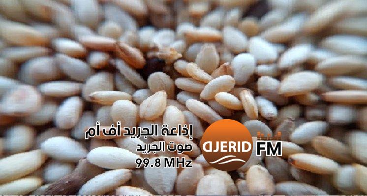 "أسعار مذهلة للبذور الممتازة والعادية لموسم الحبوب 2025-2026: اكتشف التفاصيل الآن!" أسعار بيع البذور الممتازة والعادية المخصصة لموسم الحبوب 2026-2025