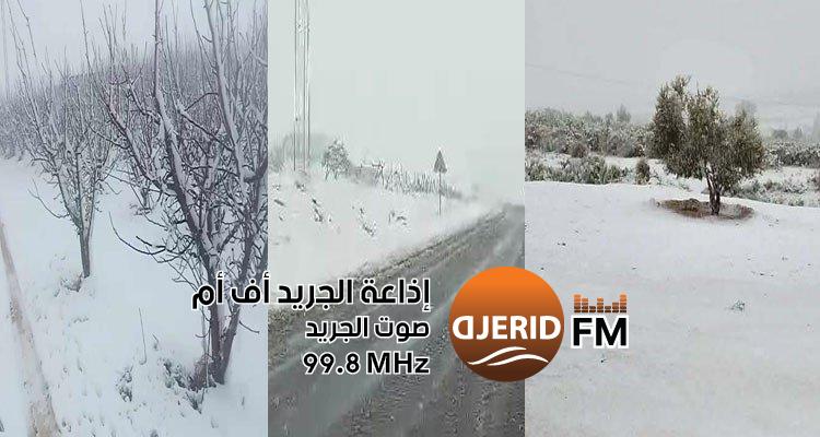 توقعات الطقس: ثلوج وأمطار غزيرة تضرب القصرين والكاف وسليانة! نشرة متابعة: تساقط الثلوج بالقصرين، الكاف وسليانة مع أمطار غزيرة