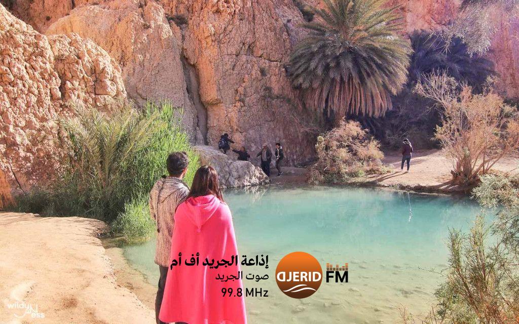 توزر: توقعات ببلوغ حجوزات تتجاوز 94 بالمائة في النزل خلال عطلة الشتاء ونهاية السنة الإدارية توزر: توقعات ببلوغ حجوزات تتجاوز 94 بالمائة في النزل خلال عطلة الشتاء ونهاية السنة الإدارية